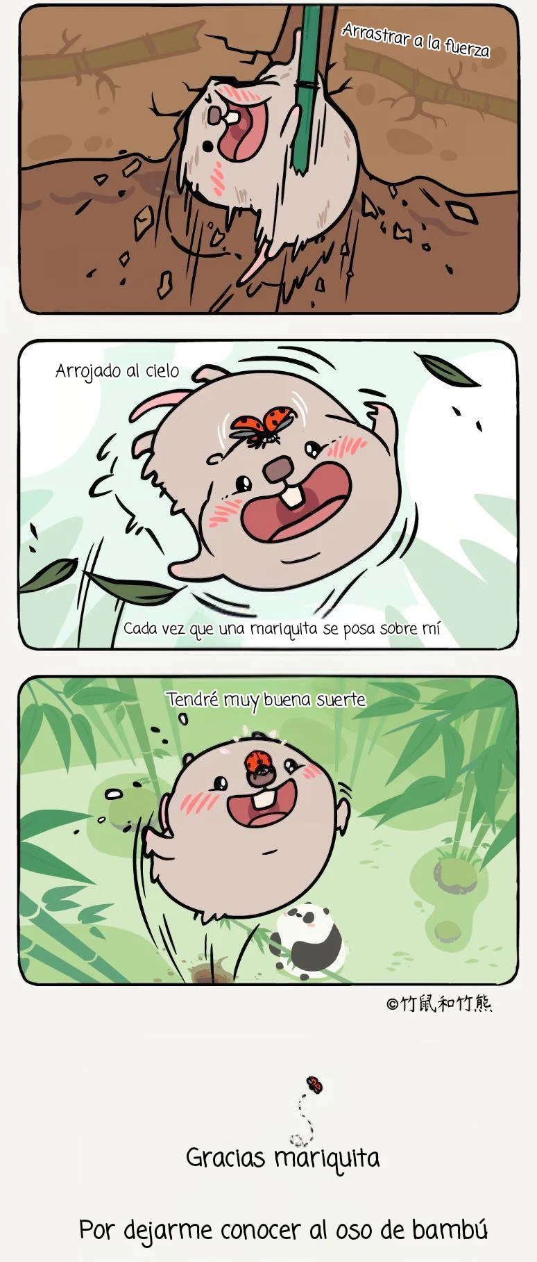 compañeros de bambu - Capítulo 16 - Página 4 - LectorTMOo
