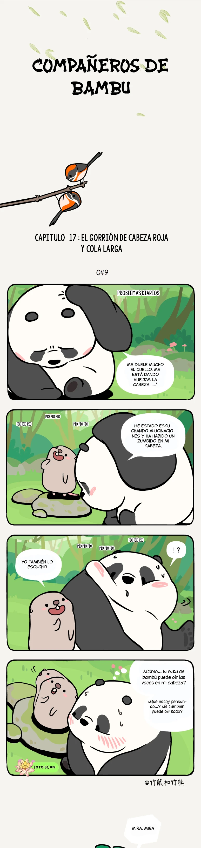 compañeros de bambu - Capítulo 17 - Página 2 - LectorTMOo