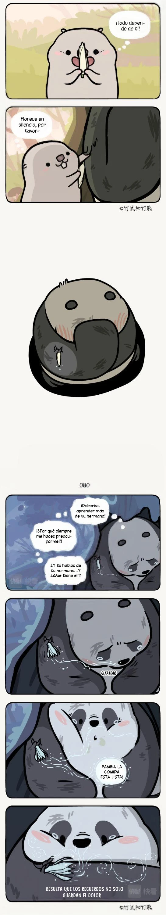 compañeros de bambu - Capítulo 24 - Página 5 - LectorTMOo