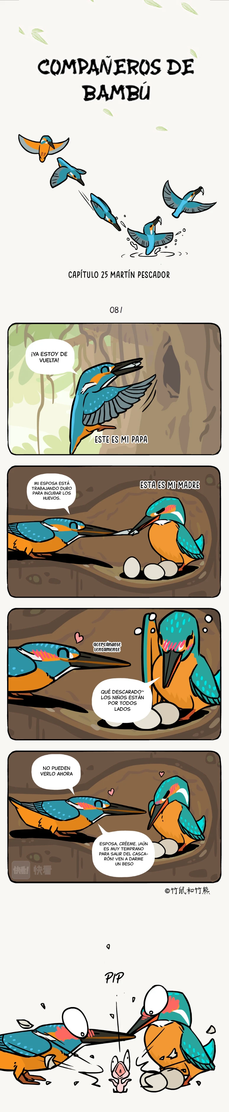 compañeros de bambu - Capítulo 25 - Página 2 - LectorTMOo