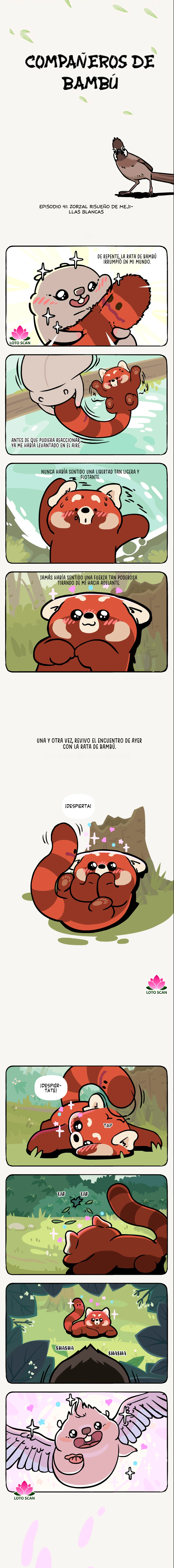 compañeros de bambu - Capítulo 41 - Página 2 - LectorTMOo