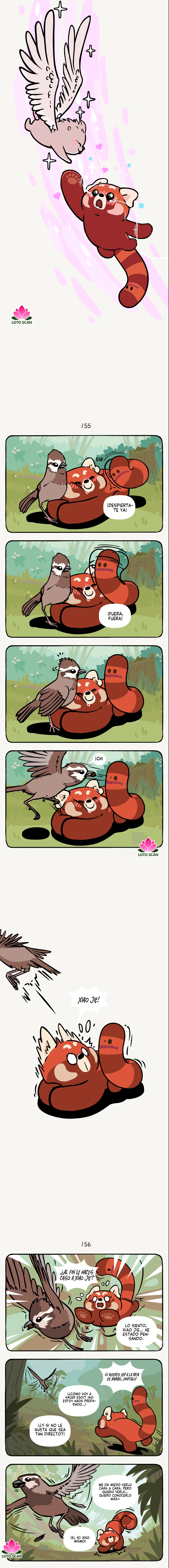 compañeros de bambu - Capítulo 41 - Página 3 - LectorTMOo