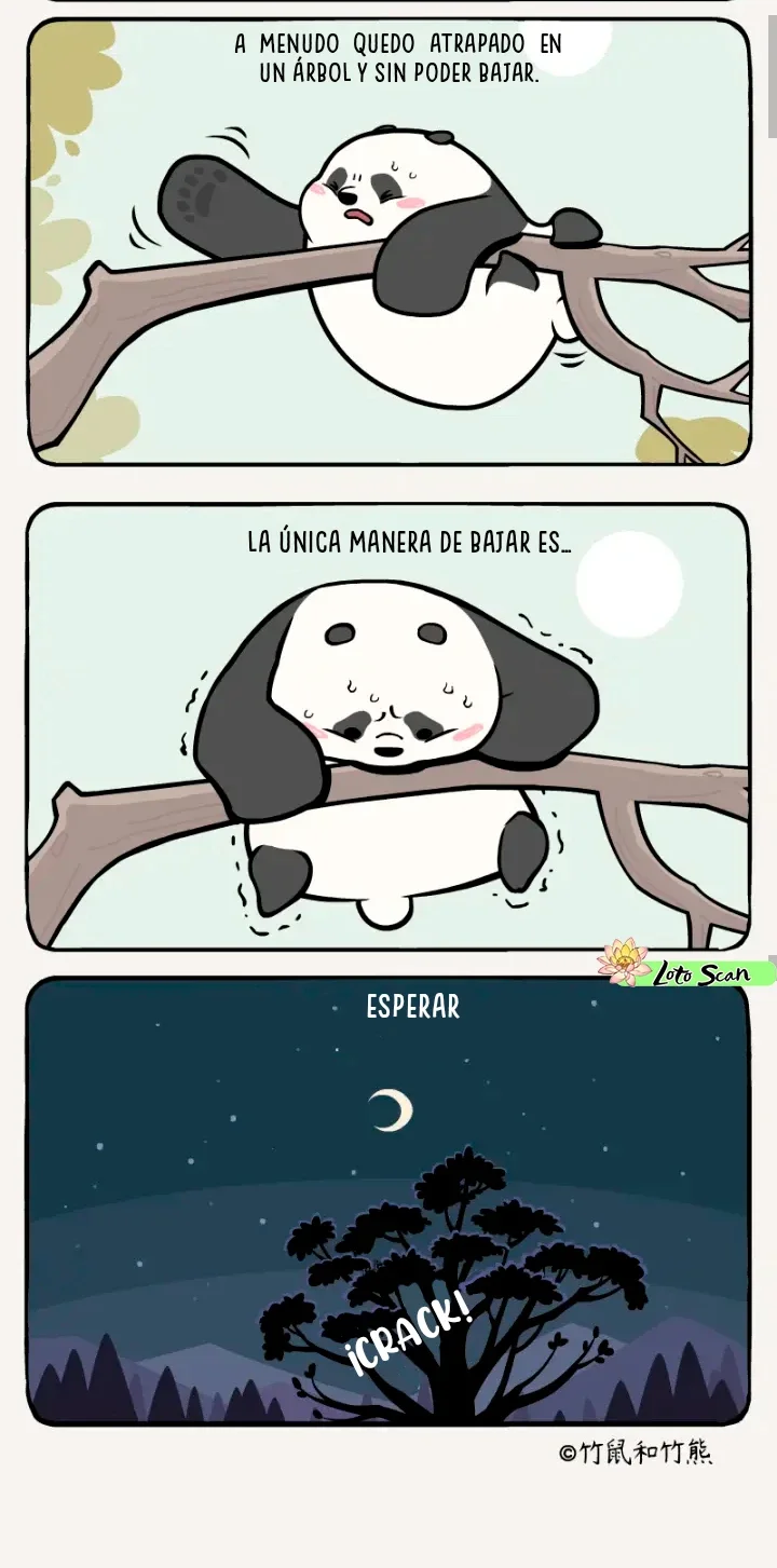 compañeros de bambu - Capítulo 8 - Página 3 - LectorTMOo