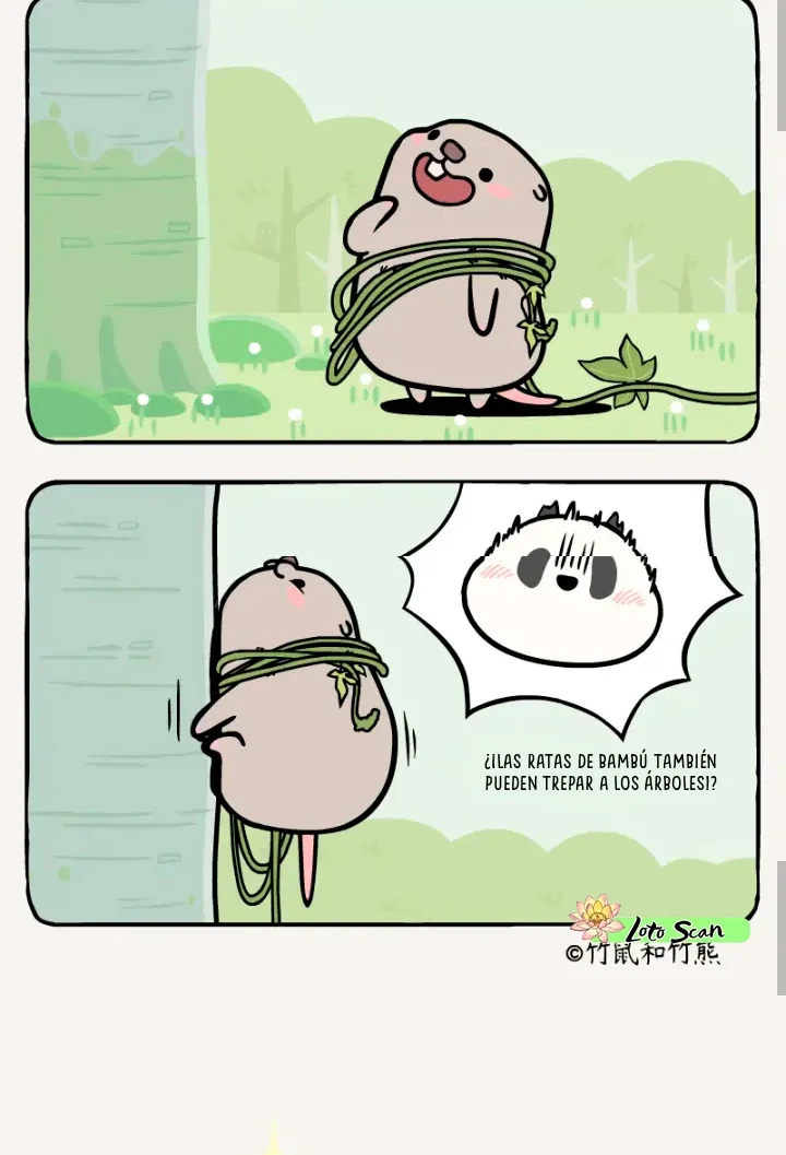 compañeros de bambu - Capítulo 8 - Página 5 - LectorTMOo