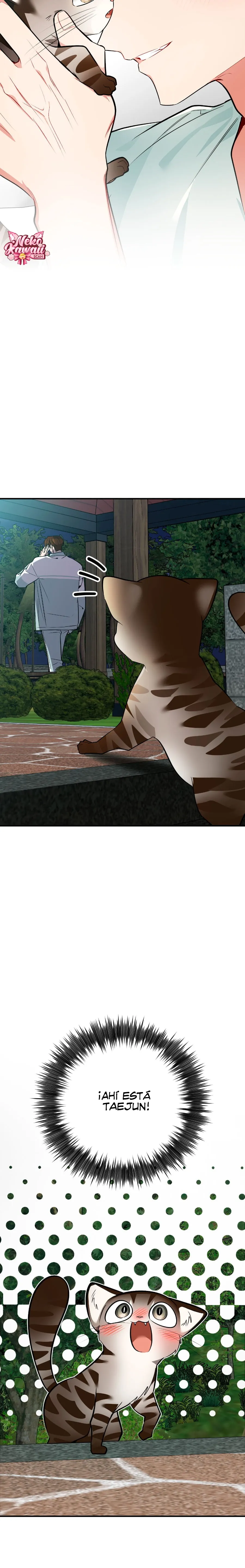 ¡Dame un cachorro leopardo si no quieres verme enloquecer! - Capítulo 12 - Página 3 - LectorTMOo