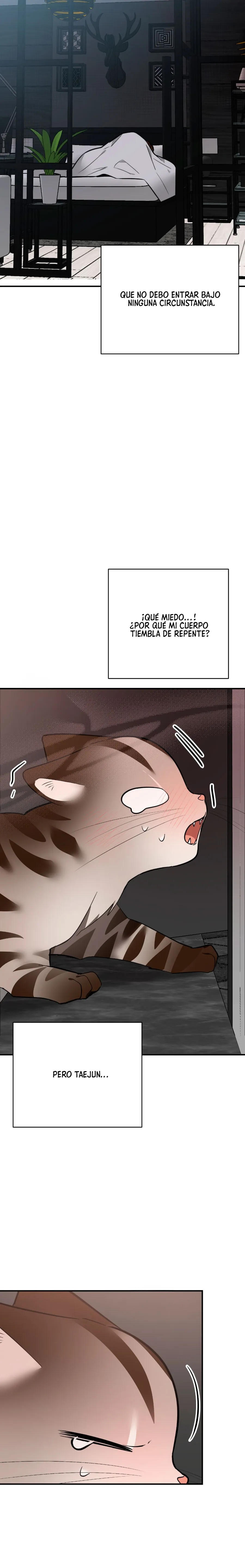 ¡Dame un cachorro leopardo si no quieres verme enloquecer! - Capítulo 14 - Página 35 - LectorTMOo