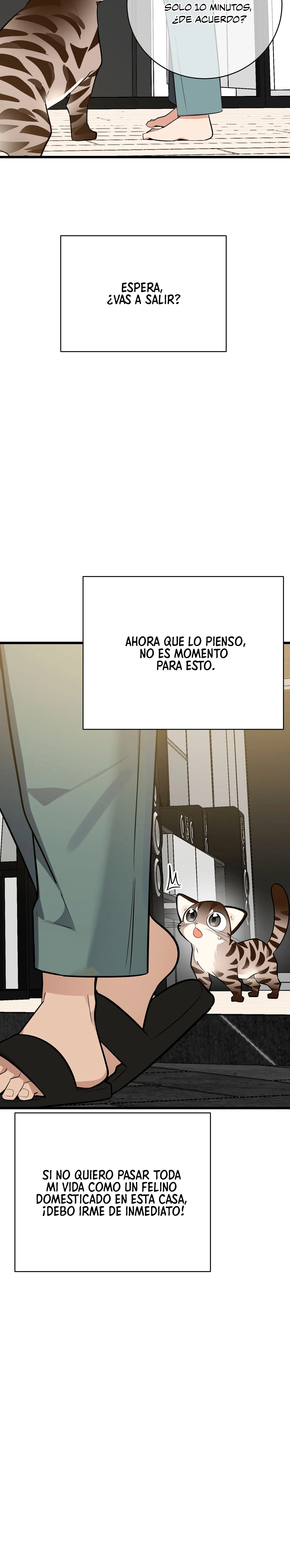 ¡Dame un cachorro leopardo si no quieres verme enloquecer! - Capítulo 3 - Página 23 - LectorTMOo