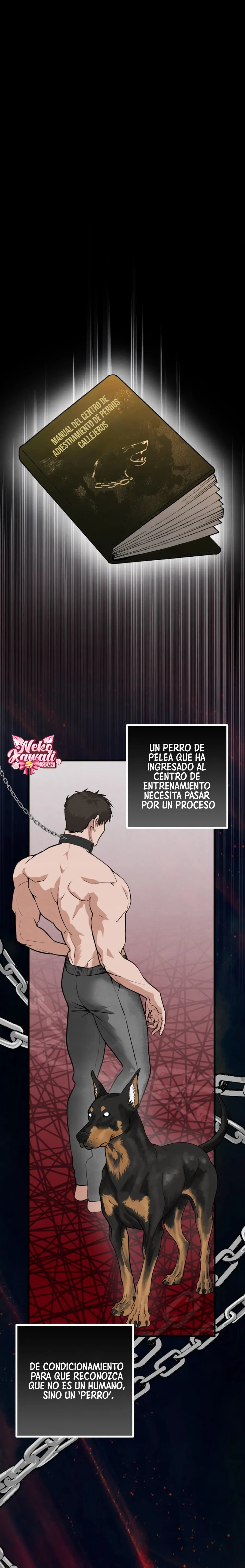 Domando al perro alfa - Capítulo 3 - Página 14 - LectorTMOo
