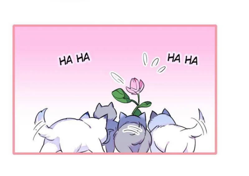 El lindo mundo de las bestias - Capítulo 234 - Página 15 - LectorTMOo