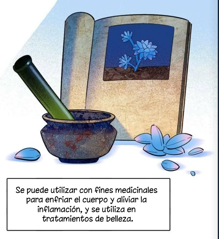 El lindo mundo de las bestias - Capítulo 306 - Página 22 - LectorTMOo