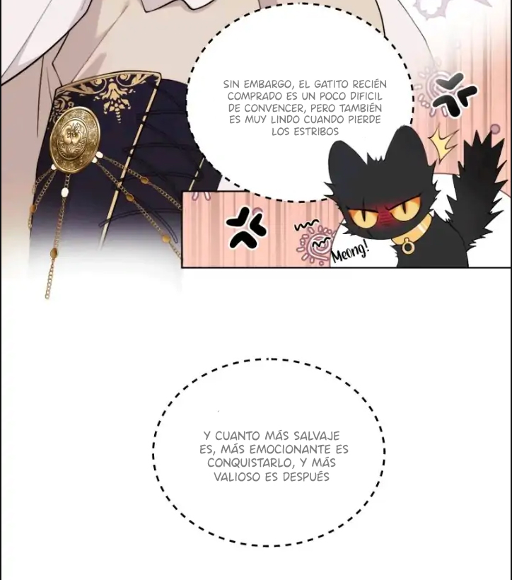 El príncipe y la pantera negra - Capítulo 3 - Página 23 - LectorTMOo