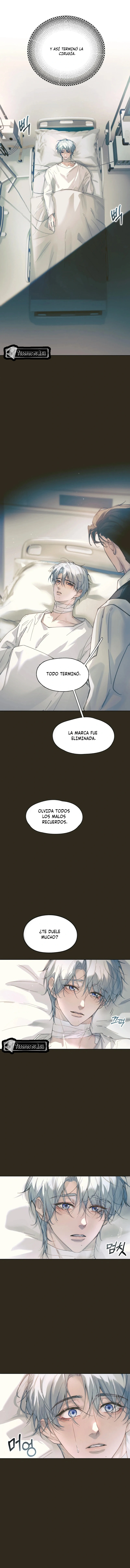 El Reflejo de la Traición - Capítulo 25 - Página 9 - LectorTMOo