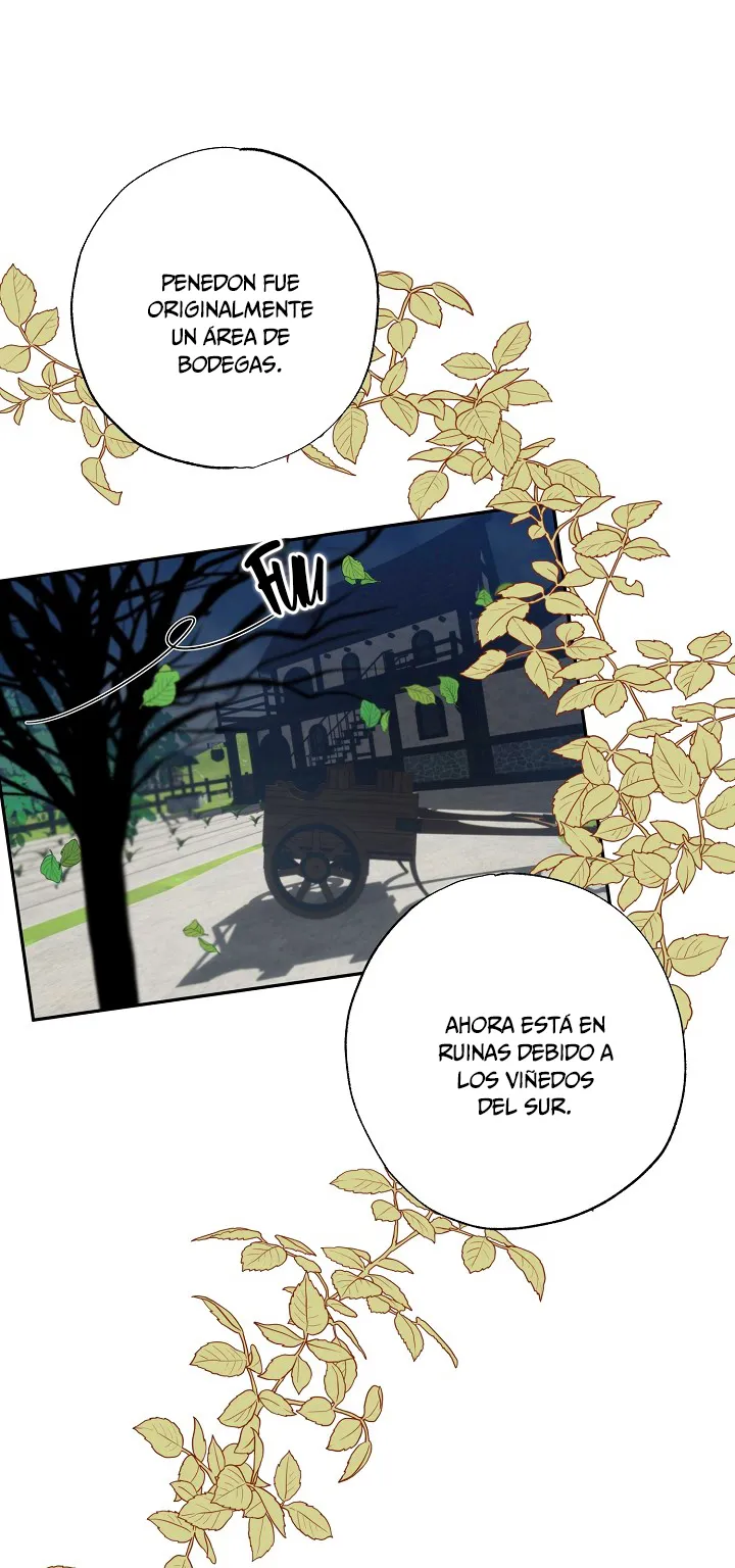 Falle En Divorciarme de Mi Esposo - Capítulo 52 - Página 62 - LectorTMOo
