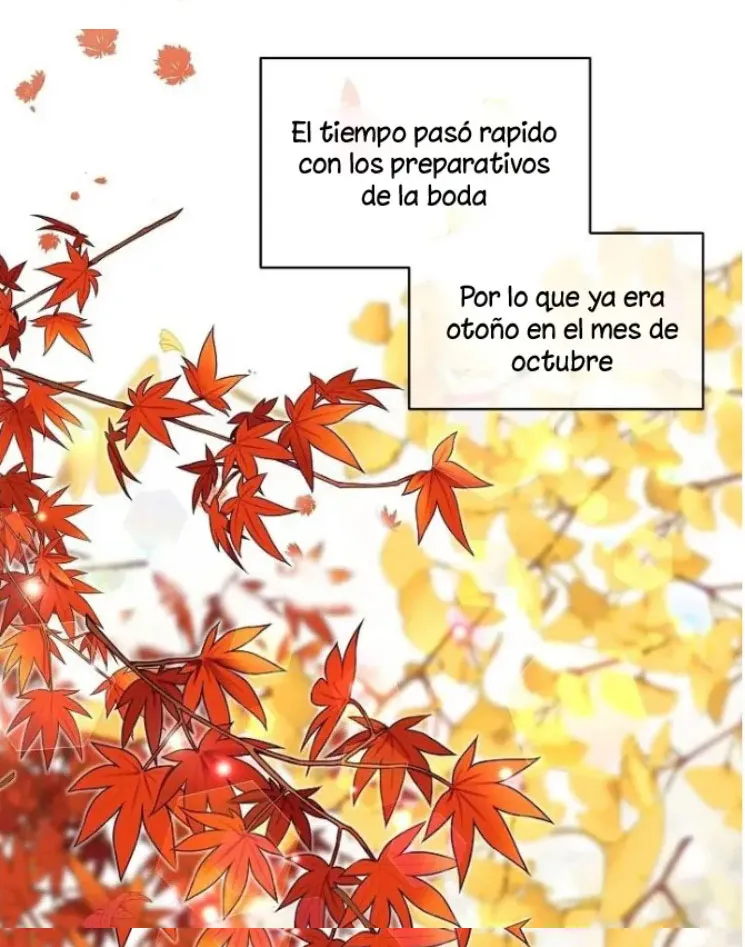 Hagámoslo después de casarnos - Capítulo 48 - Página 16 - LectorTMOo
