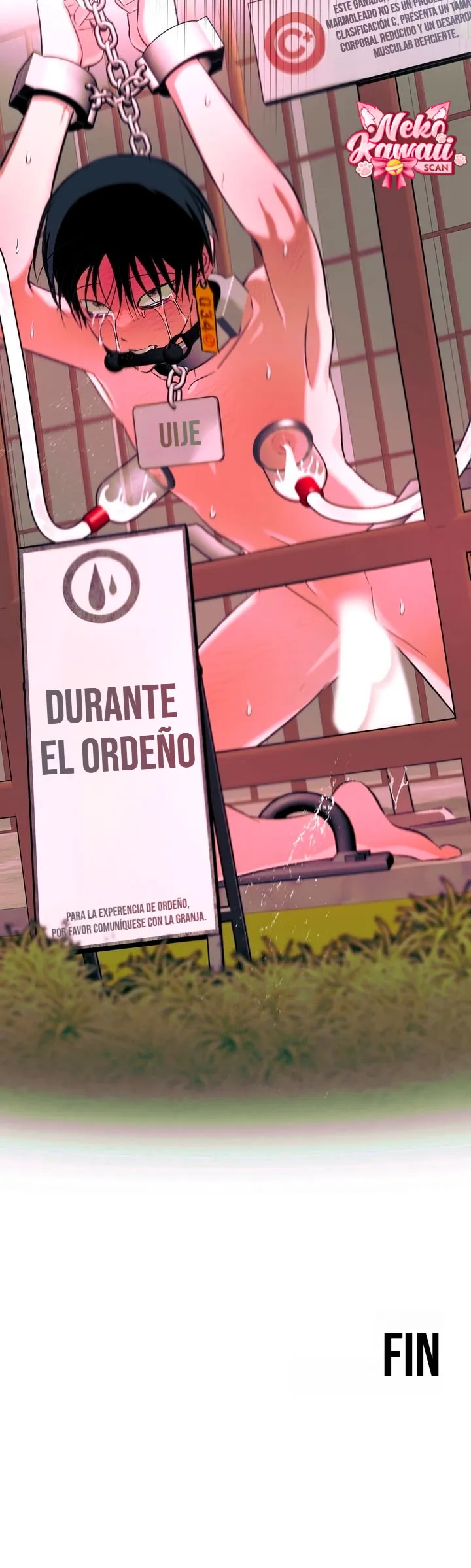 Informe del Rancho Humano - Capítulo 4 - Página 22 - LectorTMOo