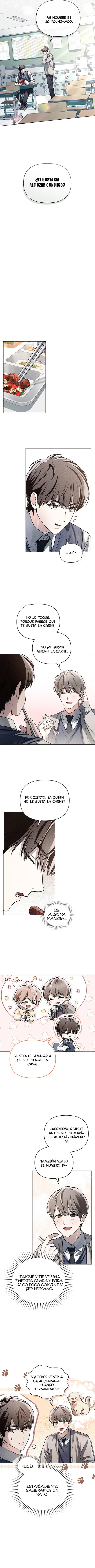 Llama espiritual - Capítulo 5 - Página 4 - LectorTMOo