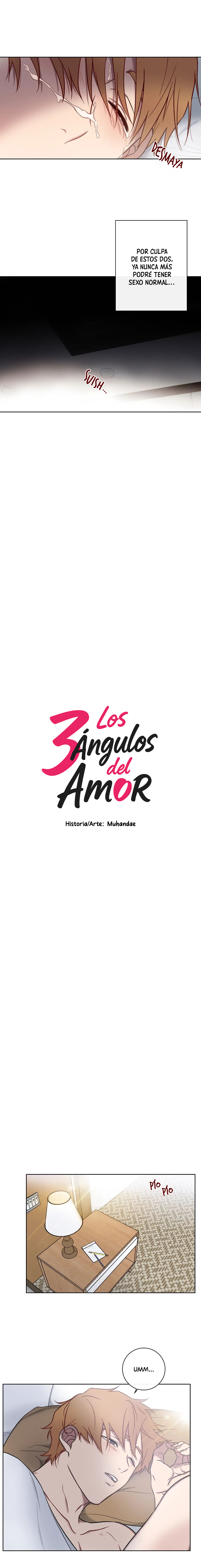 Los 3 ángulos del amor - Capítulo 3 - Página 7 - LectorTMOo