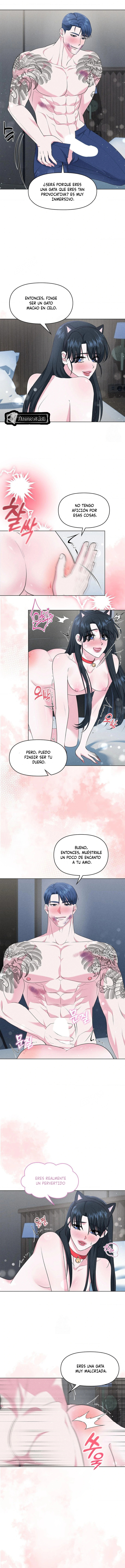 Me Equivoqué de Novio - Capítulo 14 - Página 11 - LectorTMOo