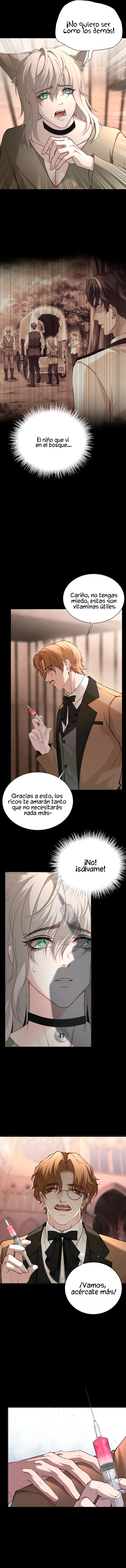 ¿Me permites un mordisco? - Capítulo 12 - Página 5 - LectorTMOo