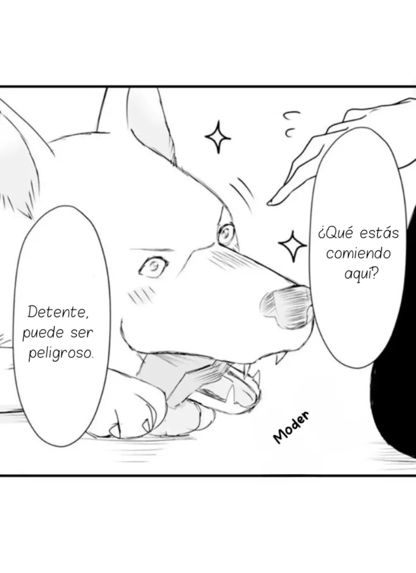 Mi esposa predestinada - Capítulo 25 - Página 16 - LectorTMOo