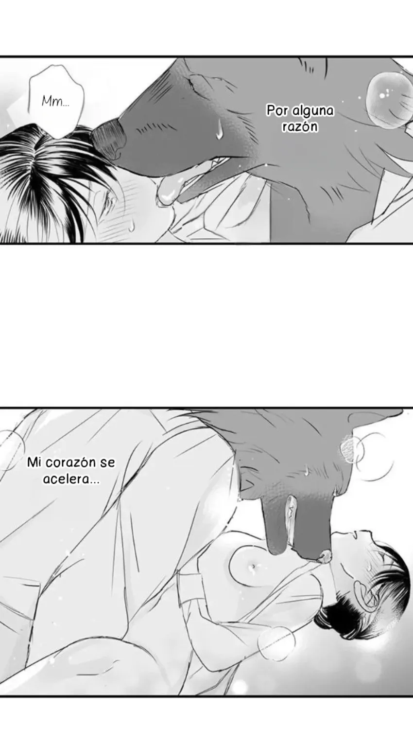 Mi esposa predestinada - Capítulo 30 - Página 34 - LectorTMOo