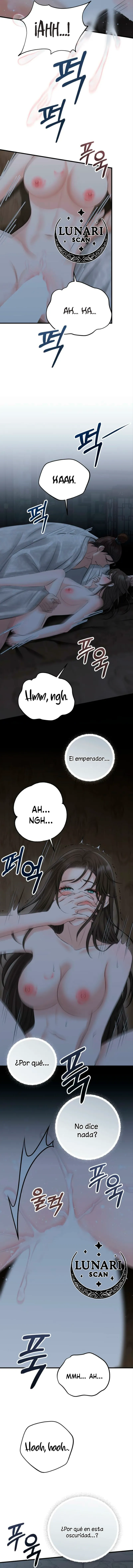 Miradas prohibidas - Capítulo 1 - Página 13 - LectorTMOo
