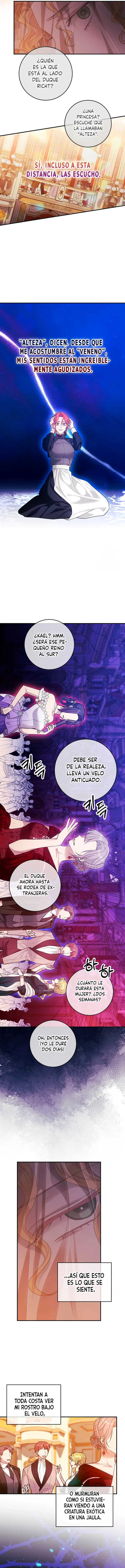 No hay contraataque del personaje secundario - Capítulo 20 - Página 8 - LectorTMOo