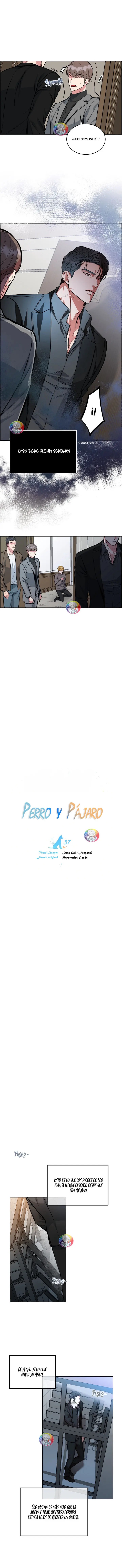 Perro y Pájaro - Capítulo 37 - Página 7 - LectorTMOo