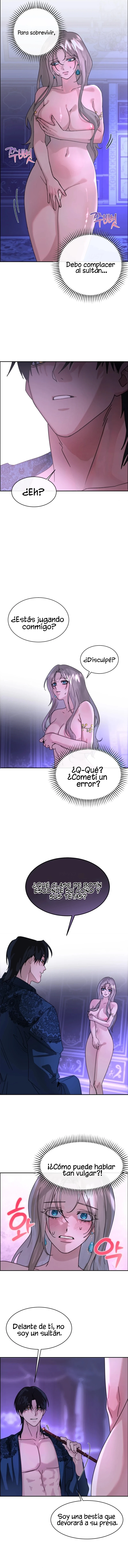 Me Convertí en el botín de Guerra del Sultán - Capítulo 2 - Página 8 - LectorTMOo