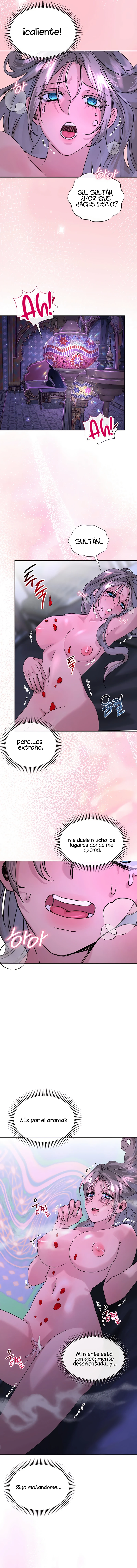 Me Convertí en el botín de Guerra del Sultán - Capítulo 5 - Página 12 - LectorTMOo