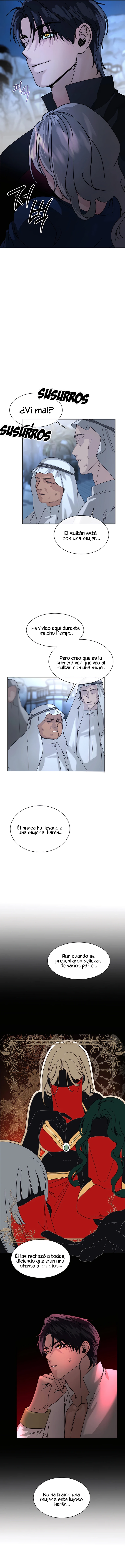 Me Convertí en el botín de Guerra del Sultán - Capítulo 5 - Página 4 - LectorTMOo