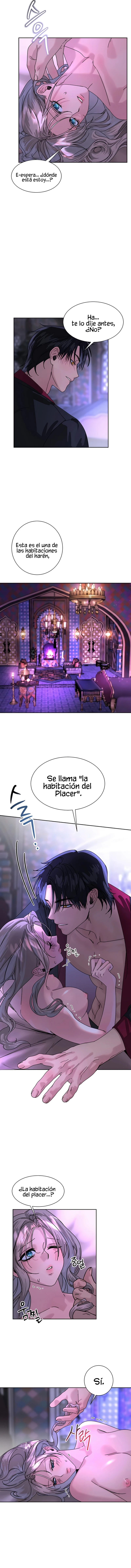 Me Convertí en el botín de Guerra del Sultán - Capítulo 5 - Página 8 - LectorTMOo