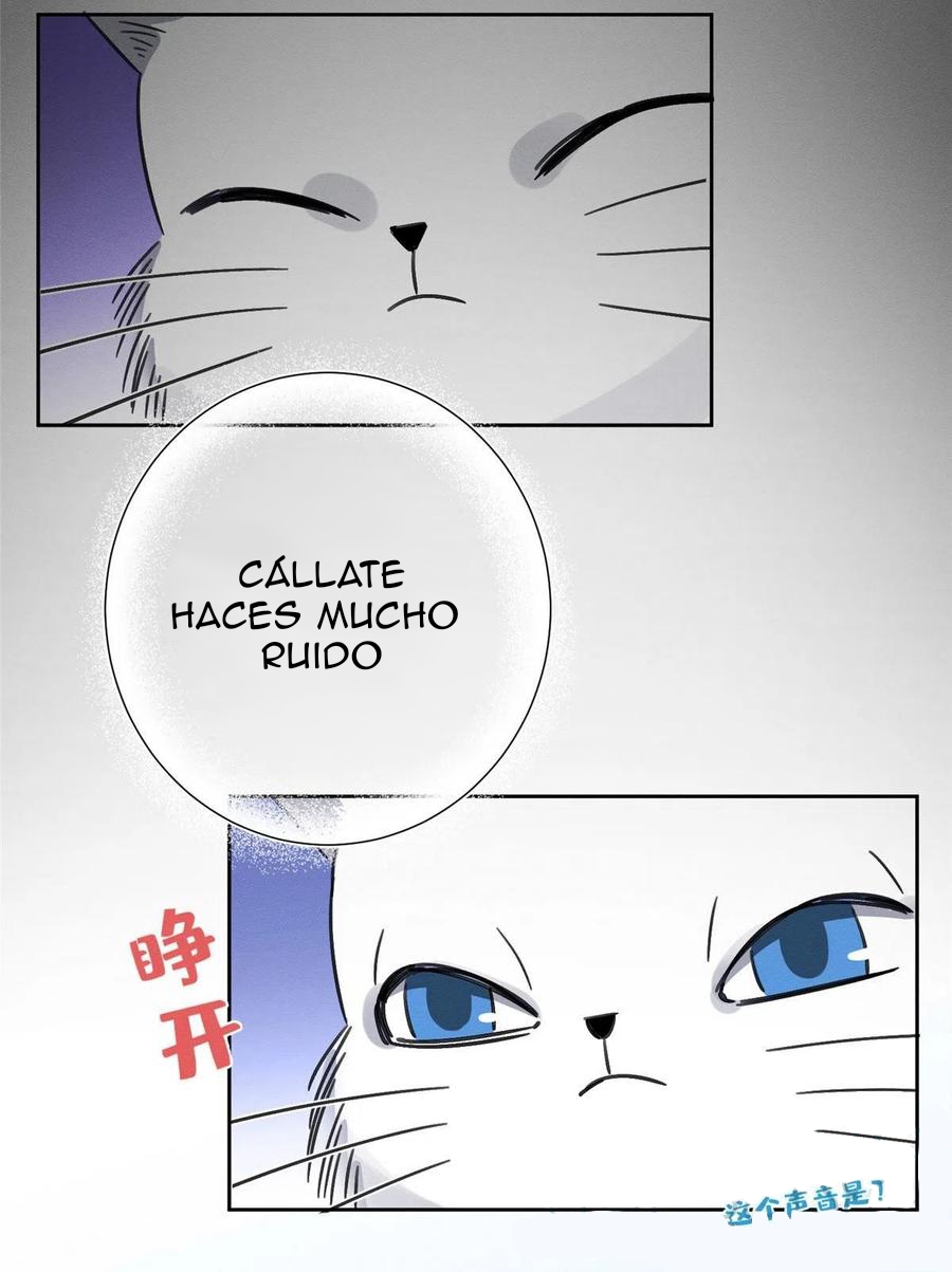 Tengo que trabajar duro para ser un gato hoy! - Capítulo 1 - Página 55 - LectorTMOo