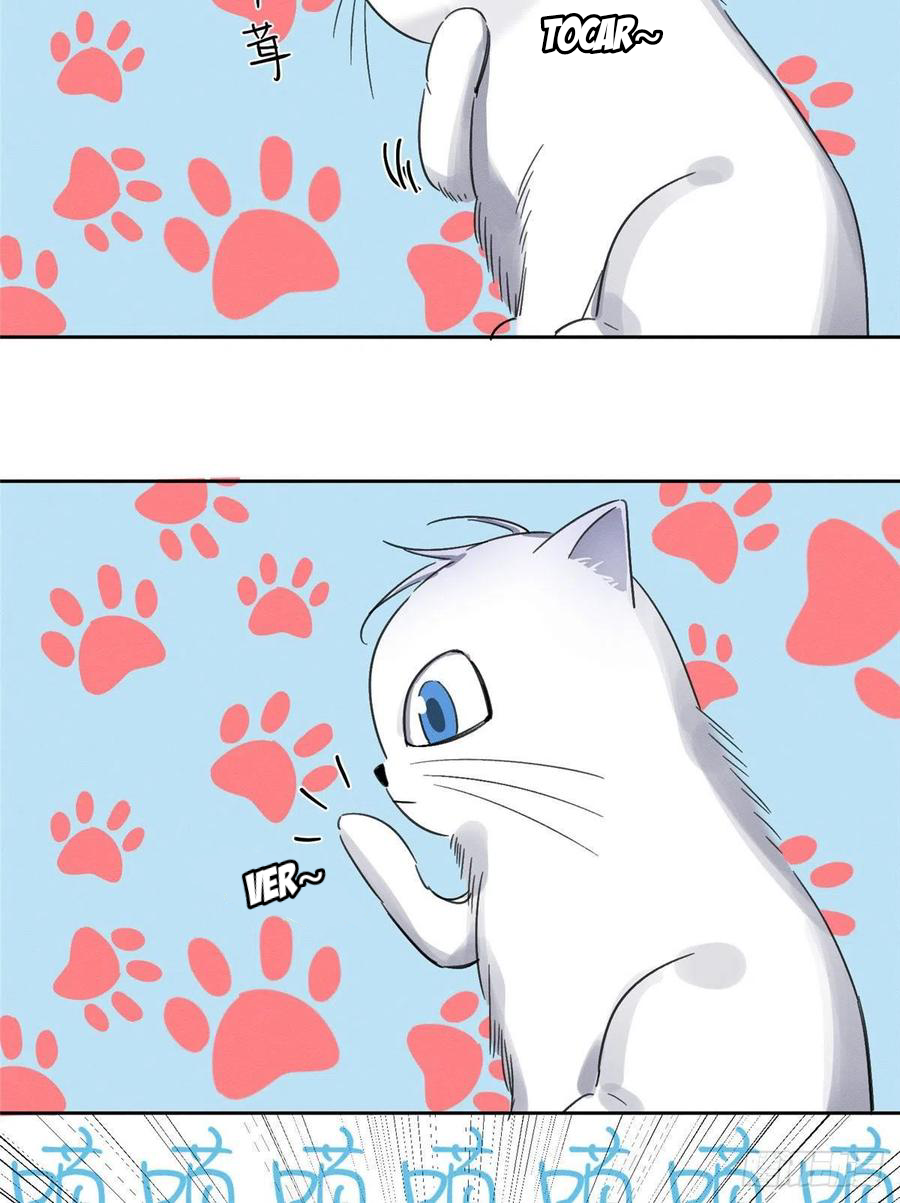 Tengo que trabajar duro para ser un gato hoy! - Capítulo 1 - Página 59 - LectorTMOo