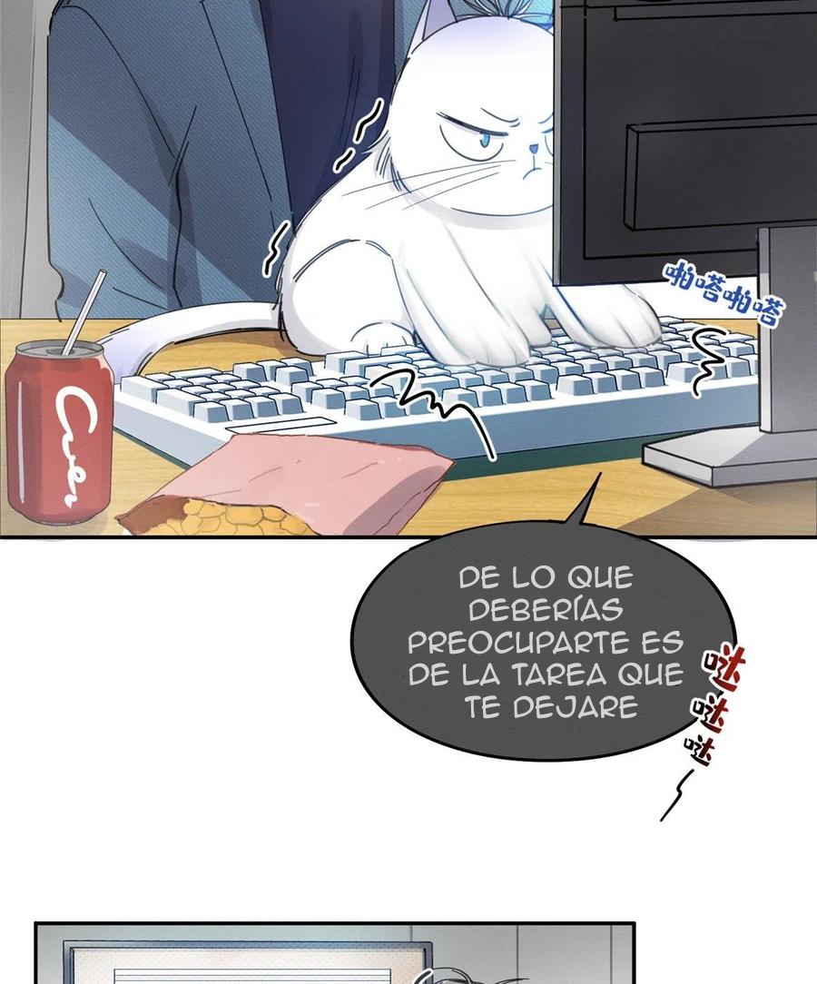 Tengo que trabajar duro para ser un gato hoy! - Capítulo 10 - Página 10 - LectorTMOo