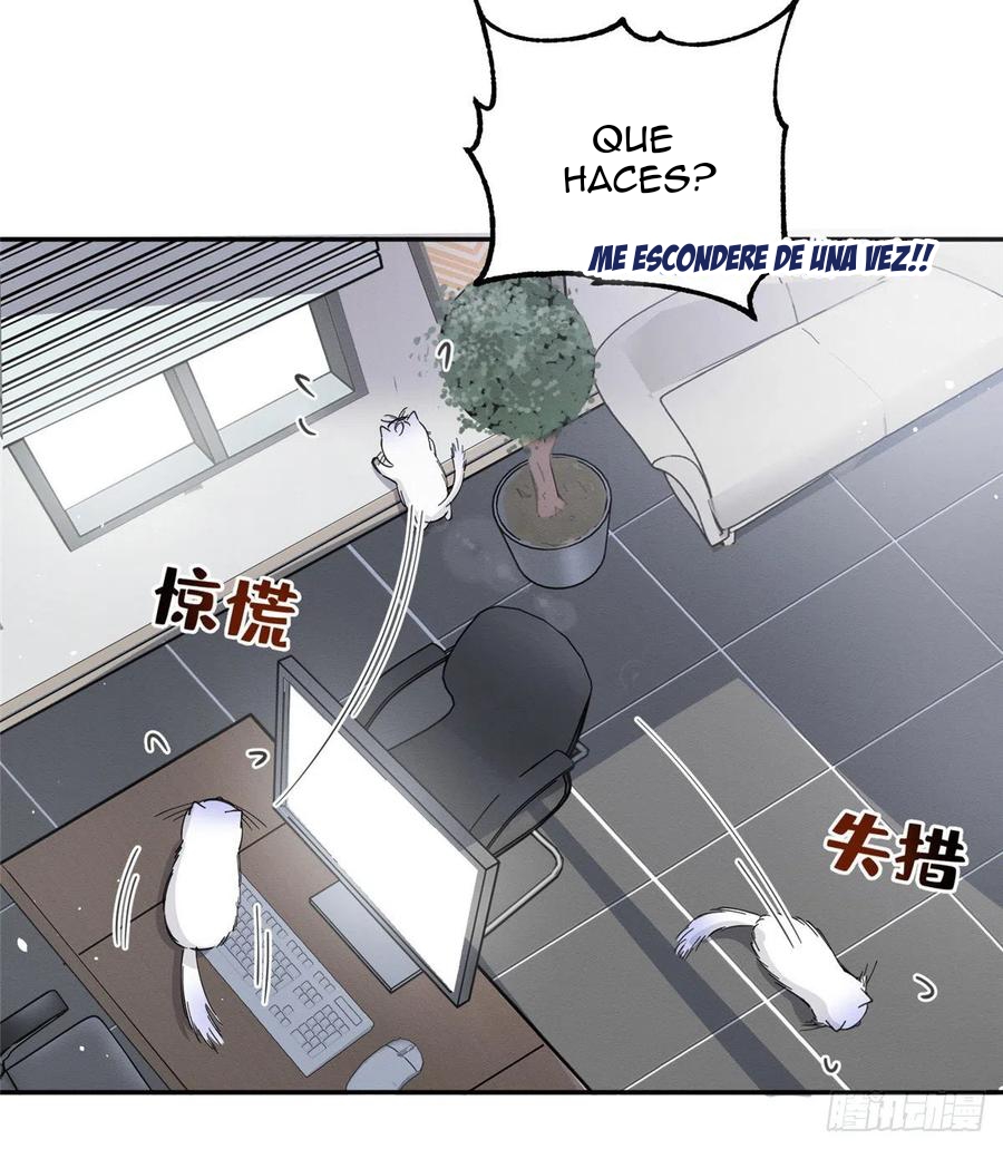 Tengo que trabajar duro para ser un gato hoy! - Capítulo 10 - Página 18 - LectorTMOo