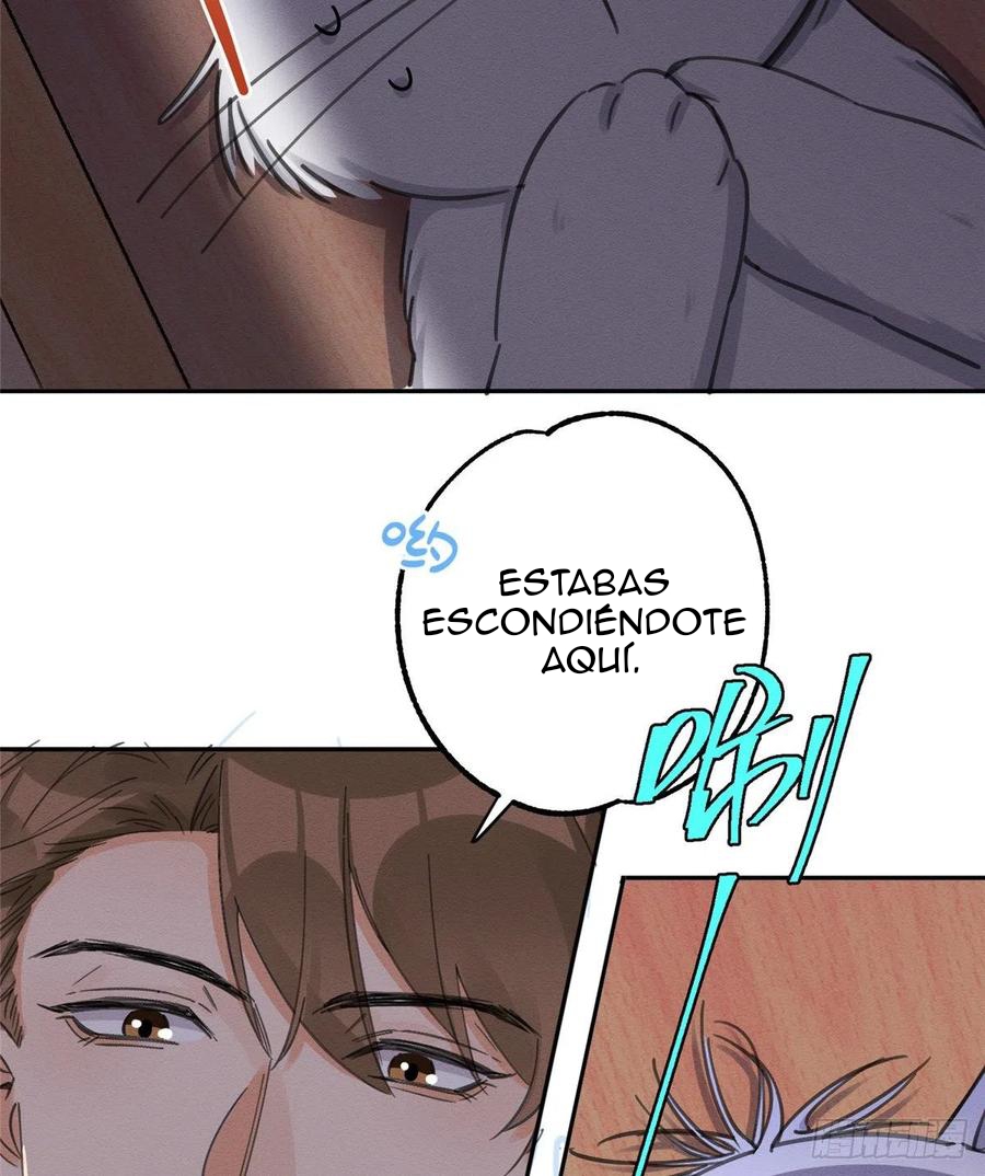 Tengo que trabajar duro para ser un gato hoy! - Capítulo 11 - Página 11 - LectorTMOo