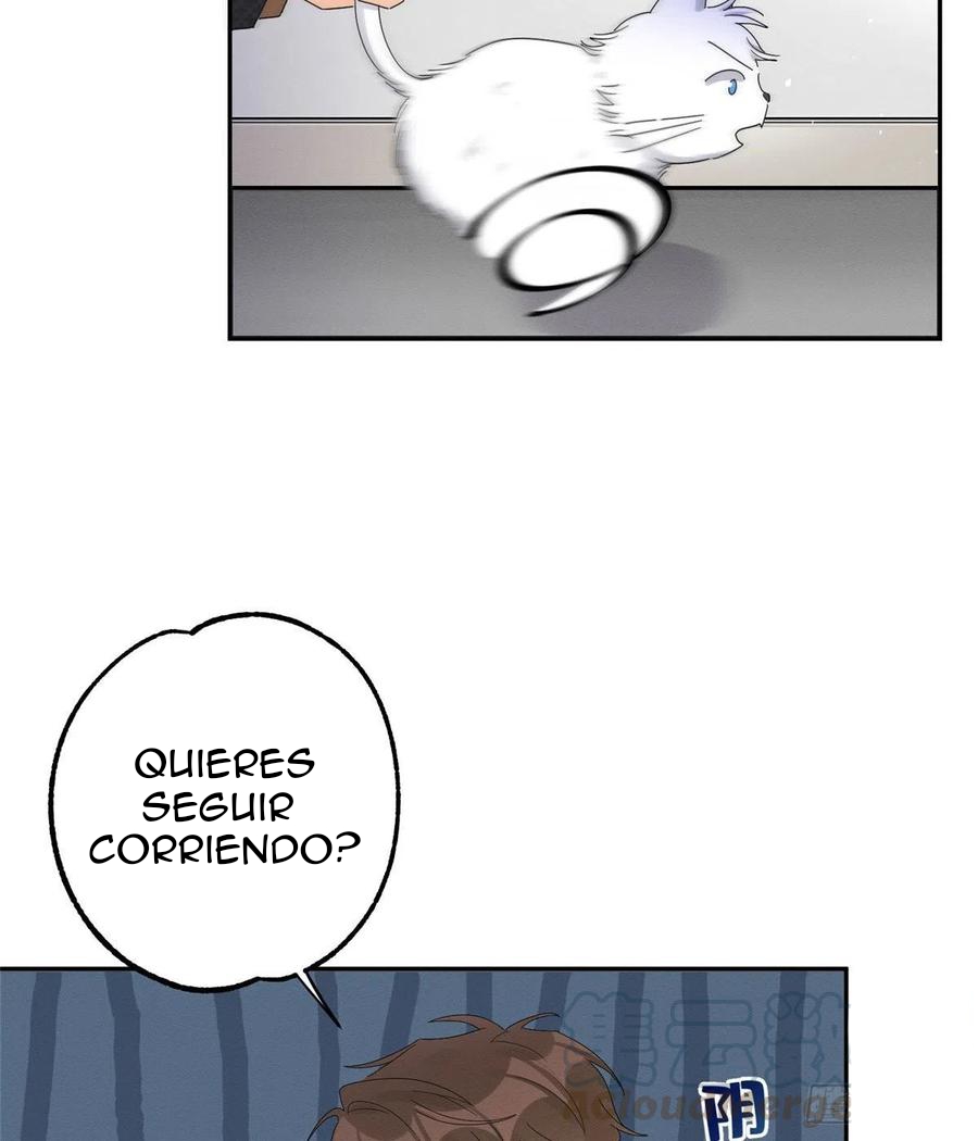 Tengo que trabajar duro para ser un gato hoy! - Capítulo 11 - Página 19 - LectorTMOo