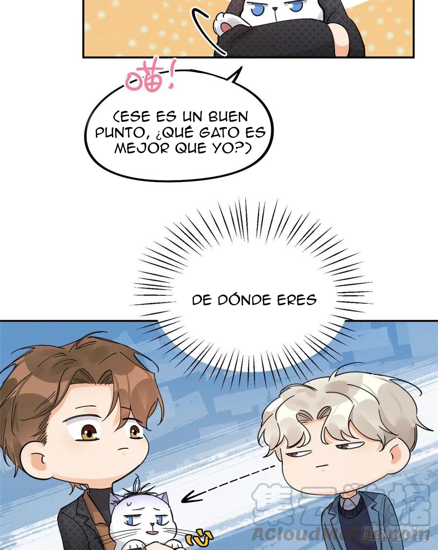 Tengo que trabajar duro para ser un gato hoy! - Capítulo 11 - Página 25 - LectorTMOo