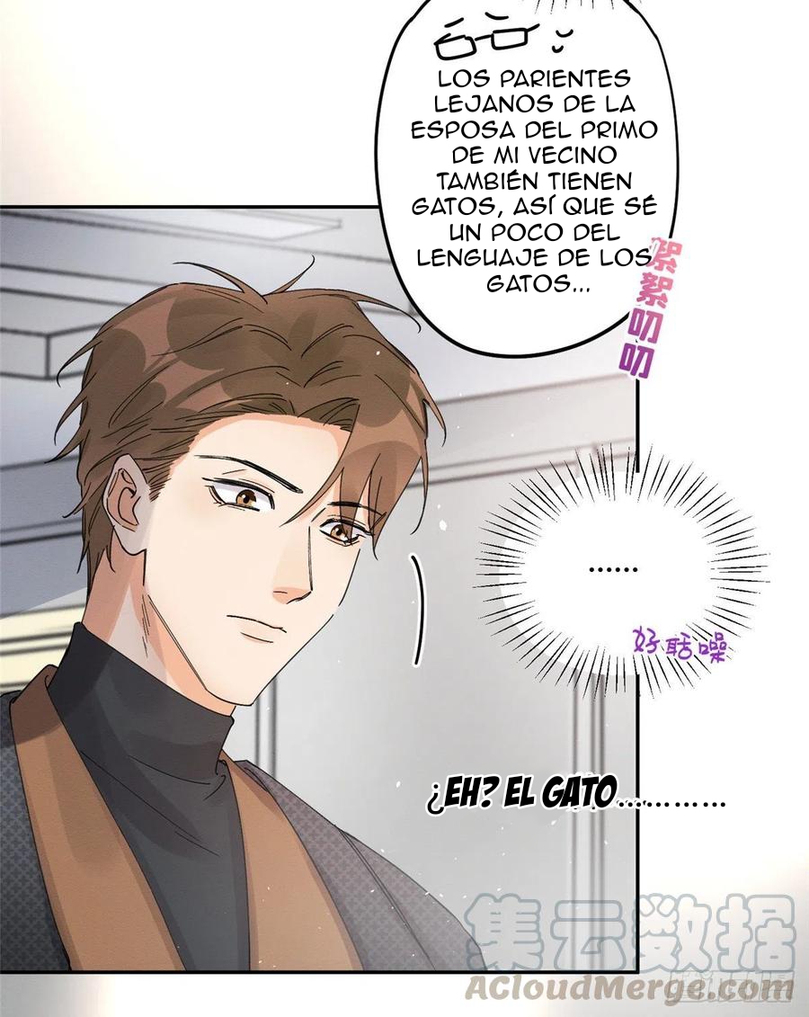 Tengo que trabajar duro para ser un gato hoy! - Capítulo 11 - Página 28 - LectorTMOo