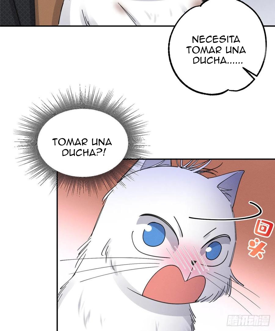 Tengo que trabajar duro para ser un gato hoy! - Capítulo 11 - Página 35 - LectorTMOo
