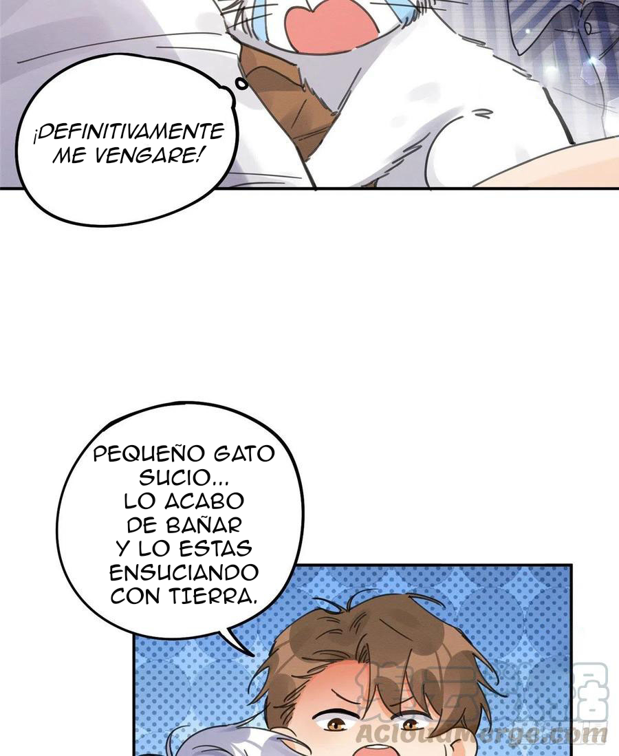 Tengo que trabajar duro para ser un gato hoy! - Capítulo 12 - Página 31 - LectorTMOo