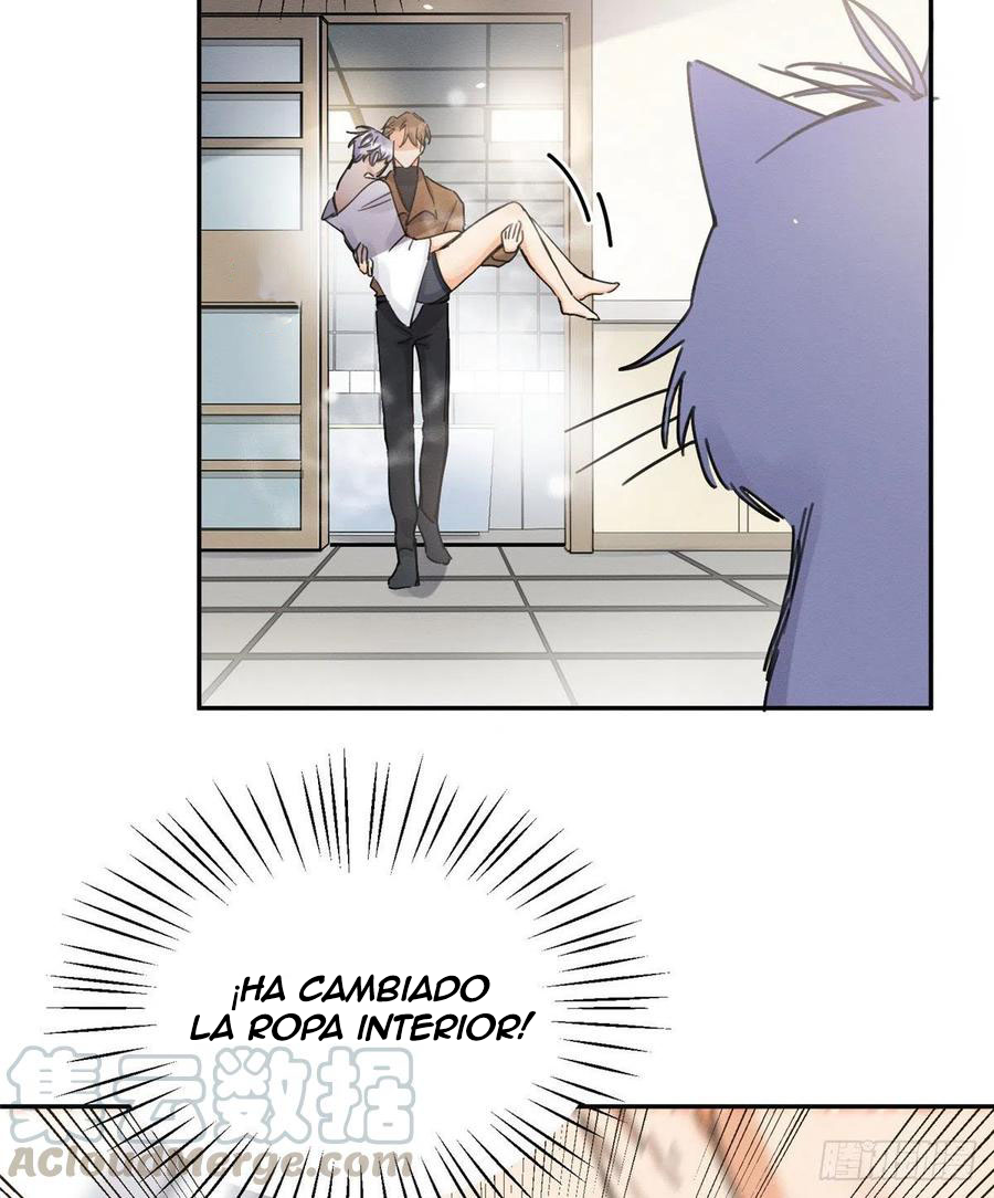 Tengo que trabajar duro para ser un gato hoy! - Capítulo 12 - Página 37 - LectorTMOo