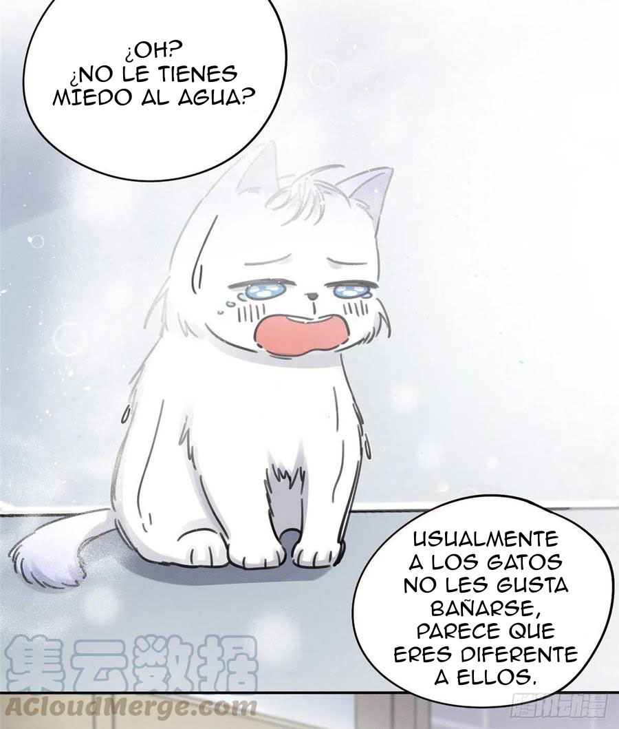 Tengo que trabajar duro para ser un gato hoy! - Capítulo 12 - Página 43 - LectorTMOo