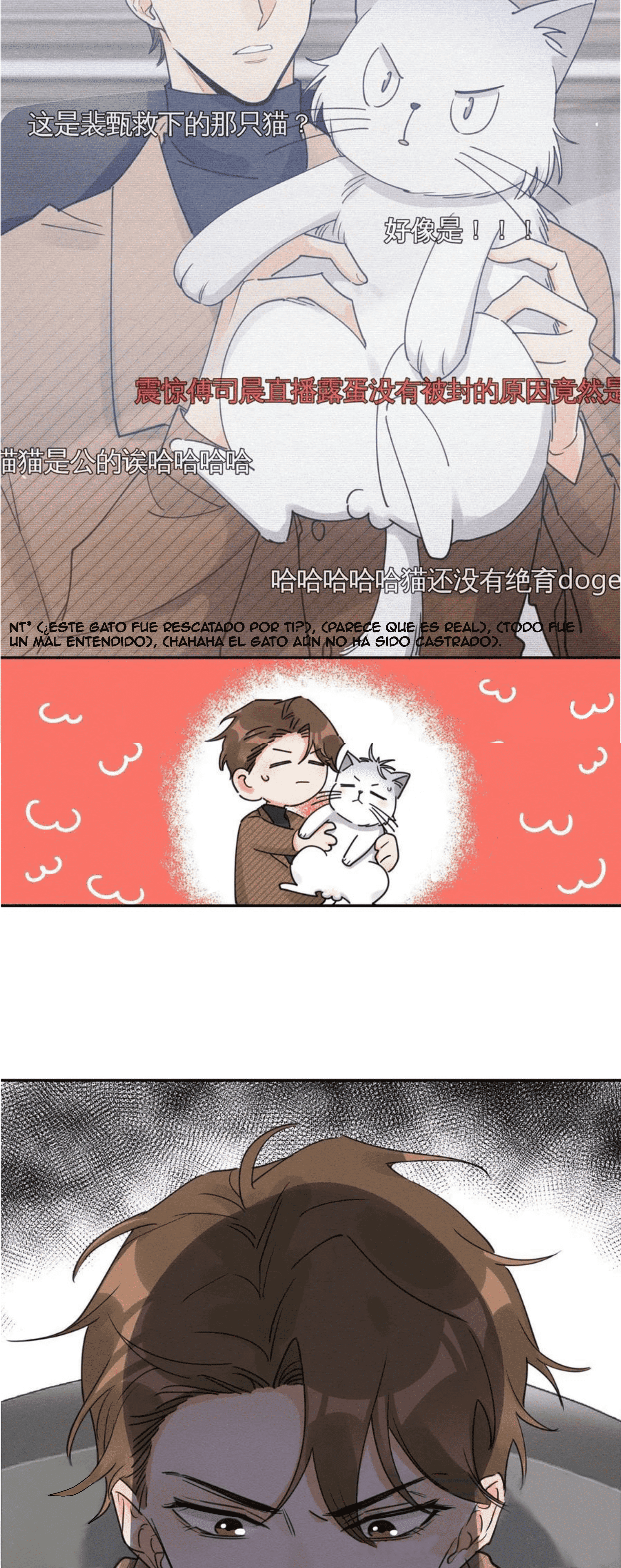 Tengo que trabajar duro para ser un gato hoy! - Capítulo 13 - Página 18 - LectorTMOo