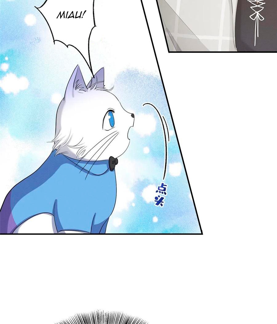 Tengo que trabajar duro para ser un gato hoy! - Capítulo 15 - Página 11 - LectorTMOo
