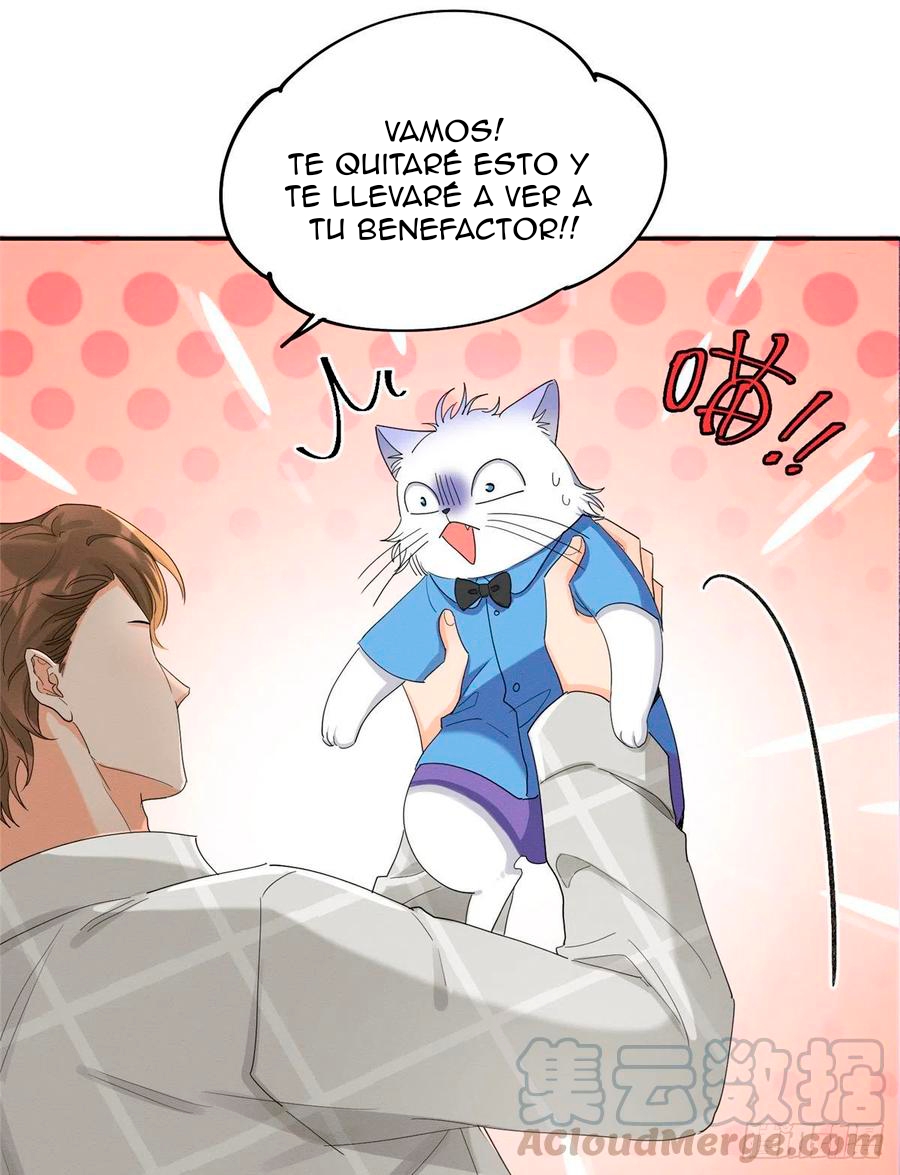 Tengo que trabajar duro para ser un gato hoy! - Capítulo 15 - Página 16 - LectorTMOo