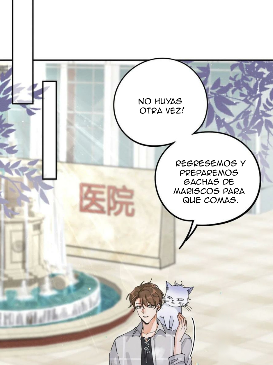 Tengo que trabajar duro para ser un gato hoy! - Capítulo 16 - Página 32 - LectorTMOo