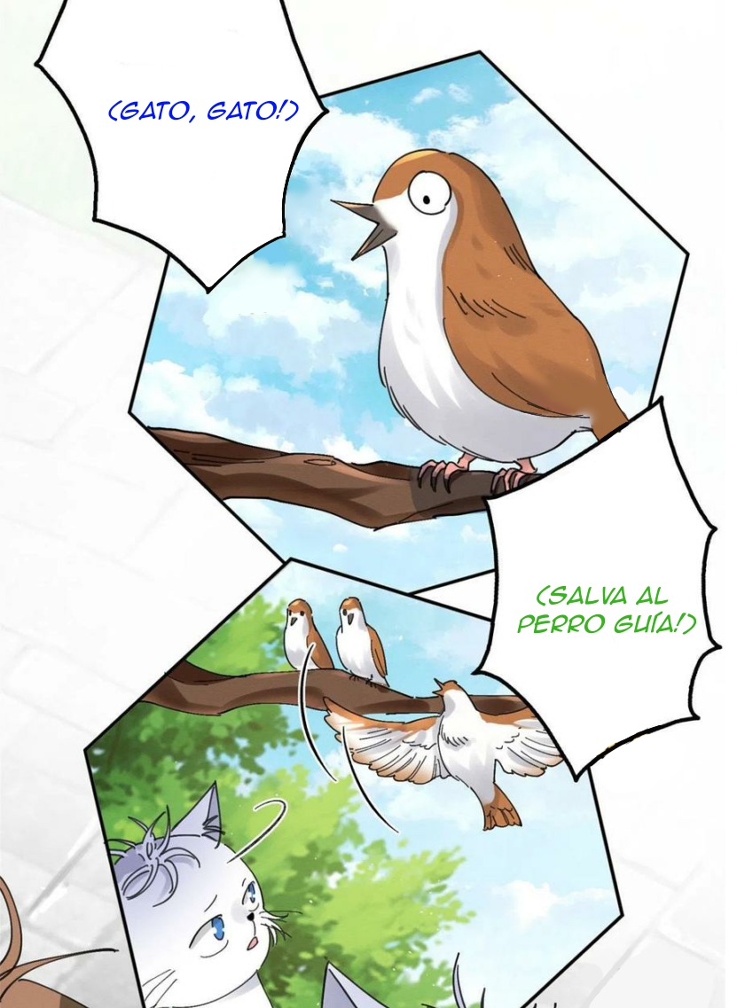 Tengo que trabajar duro para ser un gato hoy! - Capítulo 16 - Página 36 - LectorTMOo