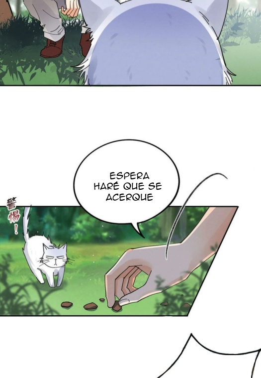 Tengo que trabajar duro para ser un gato hoy! - Capítulo 16 - Página 49 - LectorTMOo